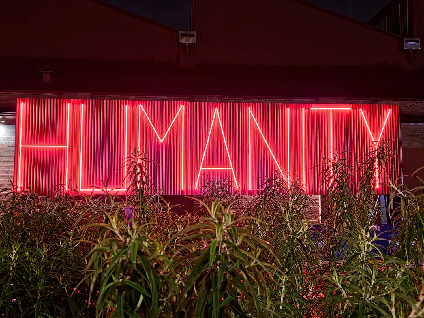 Solidarität und ihre Rolle in der Gesellschaft